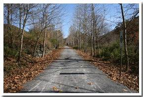 Pine Creek Rail Trail at Rattlesnake Rock