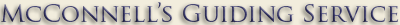 Guiding Services